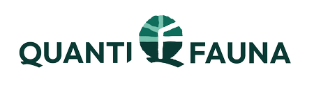 Cabeçalho decorativo